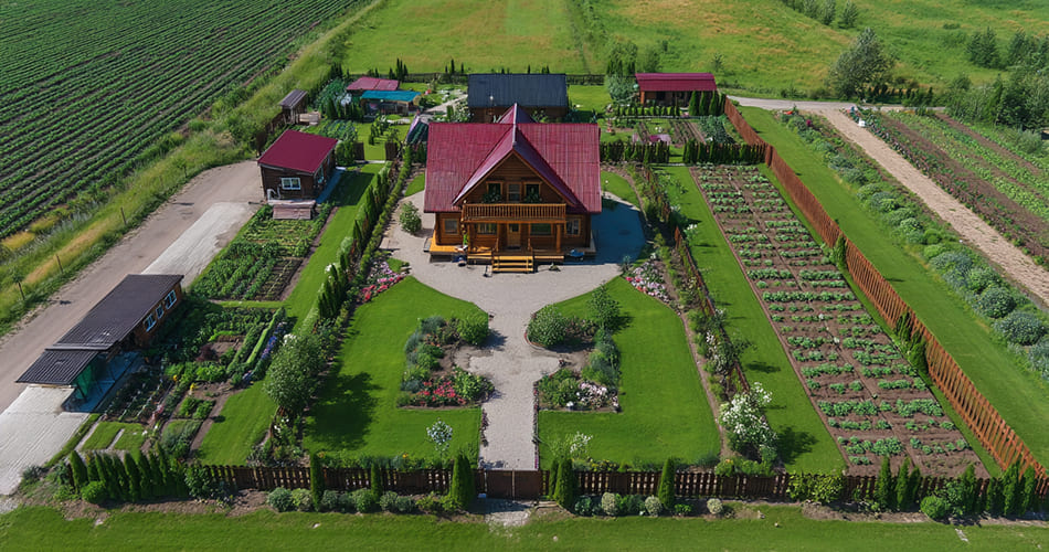 Фото описания проекта