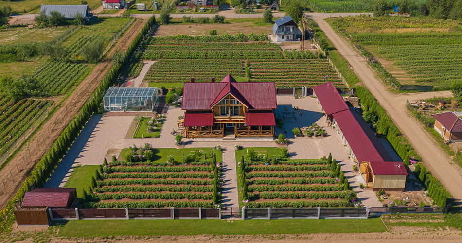 Фото описания проекта